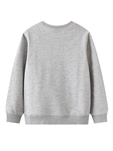 Boys Sweatshirts Casual Sweatshirts Cotton Sweatshirts Long Sleeve T-shirts Crew Neck Cartoon Tops for Boys-6522