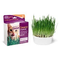 SmartyKat Sweet Greens Cat Grass Kit