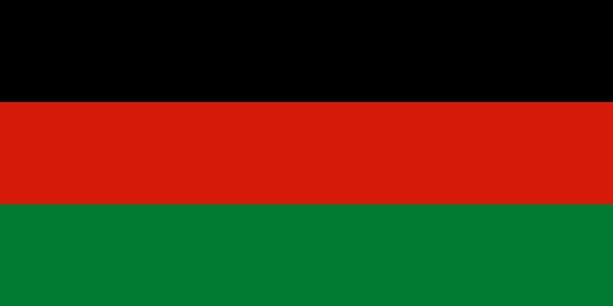 Drapeau Afghanistan 1980-1992 sans emblème : trouvez enfin la version historique exacte