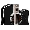 Takamine EF381SC 12-String Dreadnought Acoustic-Electric Guitar with Hard Case