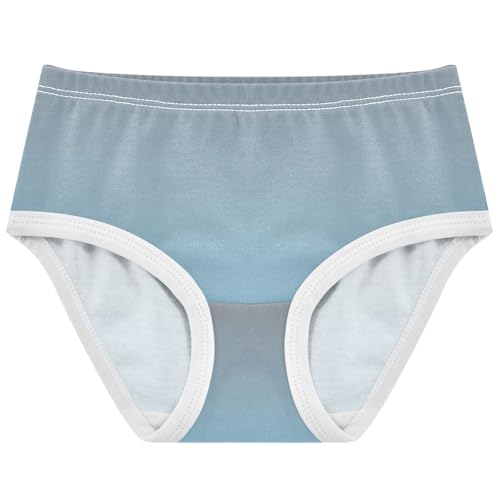 Joisal Cotton Toddler Underwear Floral Taupe Sky Blue Gradient Panties for Girl Fancy Briefs Underpants 2t