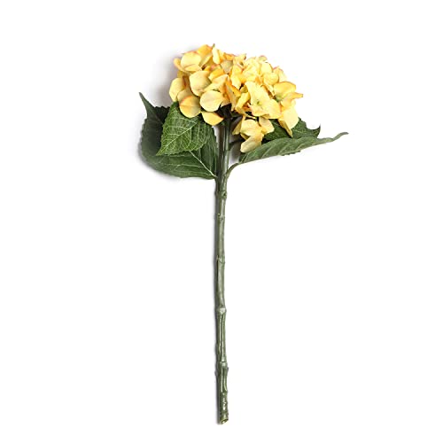 Image of Pure Home and Living Yellow Hydrangea Spray