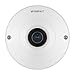 Produktbild Hanwha Wisenet Q-Serie QNF-8010 Fisheye 6MP