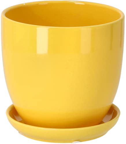 Kotarbau Macetero Con Plato De Ceramica Esmaltada, 20 Cm, Maceta Para Interiores Y Exteriores, Tiesto Decorativo Para Plantas, Amarilla Con Plato Kotarbau Macetero Con Plato De Ceramica Esmaltada, 20 Cm, Maceta Para Interiores Y Exteriores, Tiesto Decorativo Para Plantas, Amarilla Con Plato