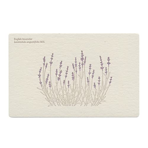 ň |XgJ[hyLavenderz{^jJ  PM-113