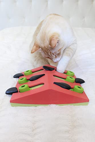 Catstages Nina Ottosson Interaktives Katzenspielzeug & Leckerli-Spender - Intelligenzspielzeug zur Selbstbeschäftigung, Fummelbrett für Katzen, langsames Fressen & Beschäftigung gegen Langeweile