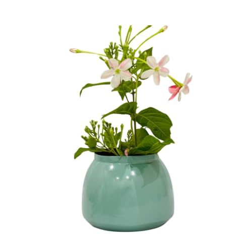 DOME DECO Mint Green Metal Flower Vase, 4x4 Inch Decorative Table Vase for Living Room, Bedroom & Office – Modern Home Decor Accent