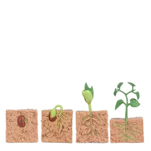 GOWENIC �C���Q���A���������f���L�b�g �j�̎q�Ə��̎q�����̒m��ߋ� ���R���b�X���̋��ނɍœK �T�C�Y�`���[�g: ��q 1.5x0.79x1.5�C���` (�A��)