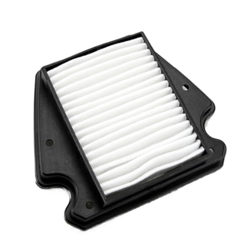 Filtre à air moto Benda Dark Flag 500 rechange moteur BD500-2A
