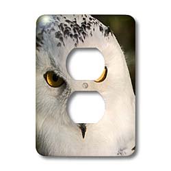 Prise de courant cache chouette blanche 3dRose lsp_18122_6 deco mur
