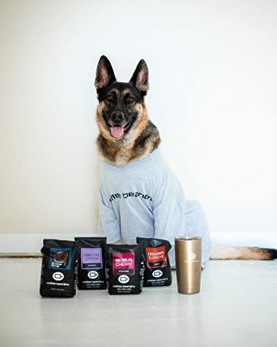 Cinnamon Supreme Flavored Coffee Swp Decaf, Specialty Arabica Coffee, Medium Roast, 12 Ounce, Automatic Drip (Ground) #TOP3