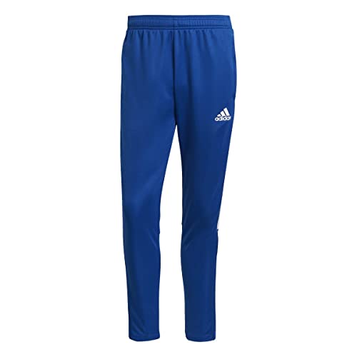 adidas TIRO21 TR PNT Pants (1/1) Mens, ROYBLU, M