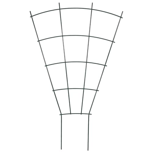 Luxshiny ANC~ObN 肵Sx Op K[fgX ϗtA┫Ap t[|bgu |p঎x?