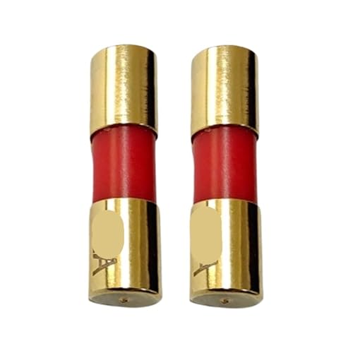 Fusible 5x20mm 12A en lot de 2 pièces pour la protection des circuits