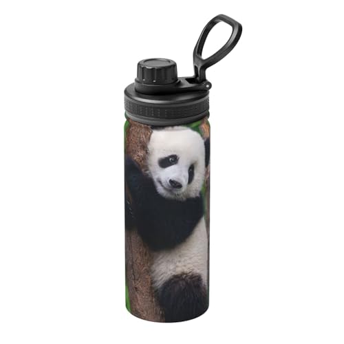 �p���_�� �G�� ���� ���� �A�j�� �^��f�M �ۉ� �ۗ� �X�|�[�c�{�g�� �l�C �X�e�����X�{�g�� �X�|�[�c�����Ή� �R��Ȃ� ������530ml �j�̎q ���̎q ������� ��l �q�� �O�b�Y �L�����N�^�[ �G�� �v���[���g