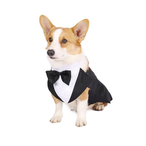Traje formal para perro con moño, talla M miniatura 3