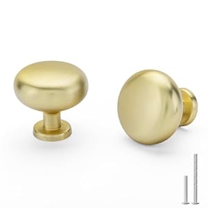 goldenwarm 10 Pack Gold Cabinet Knobs Brushed Brass Dresser Drawer Knobs, Gold Kitchen Cabinet Pulls Round Cupboard Hardware Zinc Alloy