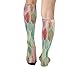 FekiLoot Ancient Pattern Style Compression Socks Cozy Soft Support Socks Fashion Breathable Knee High Tube Socks for Adult