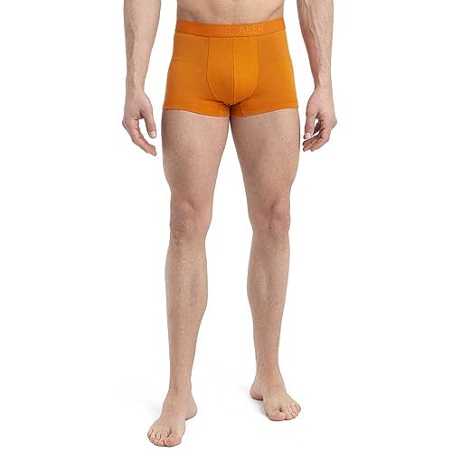 Icebreaker Merino Anatomica Cool-Lite Underwear-Trunk's