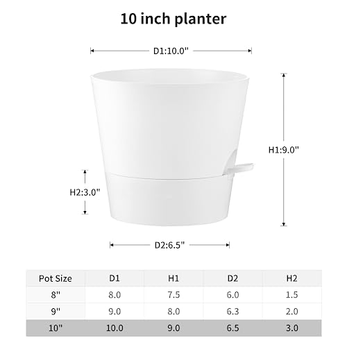 FaithLand - 2er-Pack Blumentöpfe, 25,4 cm, für Zimmerpflanzen und Außenbereich, Selbstbewässernde Blumentöpfe mit tiefem Wasserspeicher… – Ansicht 2