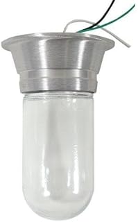 100W Surface Mount Incandescent Hood Light With Clear Coated Tempered Glass Globe