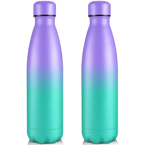 Volhoply 25oz Insulated Water Bottles (Purple Green,2 Pack)