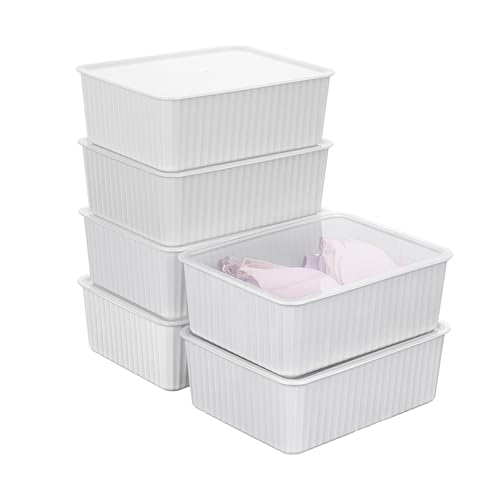 Cetomo Plastic Underwear Drawer Organizer with Lid, Lidded Storage Box for Bras, Plastic Basket for Closet and Shelf, Stackable, Gray (31 x 24 x 11 cm)