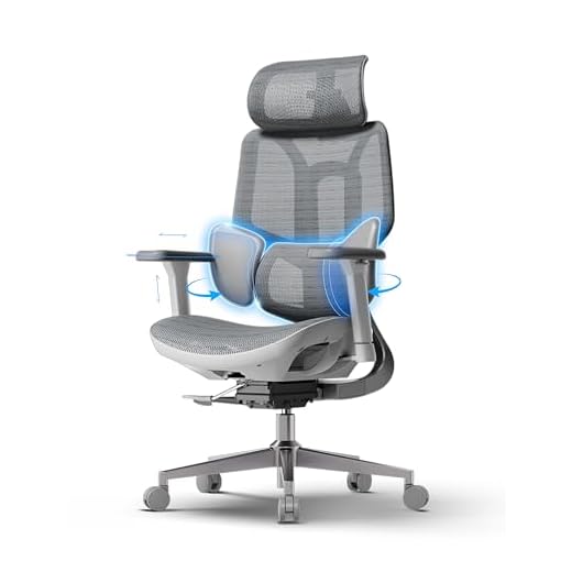 Hbada E3 Air Ergonomischer Bürostuhl mit 3-Zonen dynamischer Lendenwirbelstütze, Schreibtischstuhl mit 3D verstellbare Kopfstütze, 3D-Armlehnen verstellbar, Grau