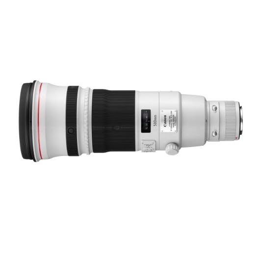 Canon EF 500mm f/4L II Telephoto Lens