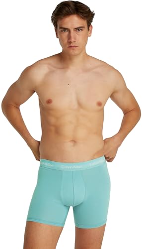 Image of Calvin Klein Men's Cotton Briefs (Pack Of 3)