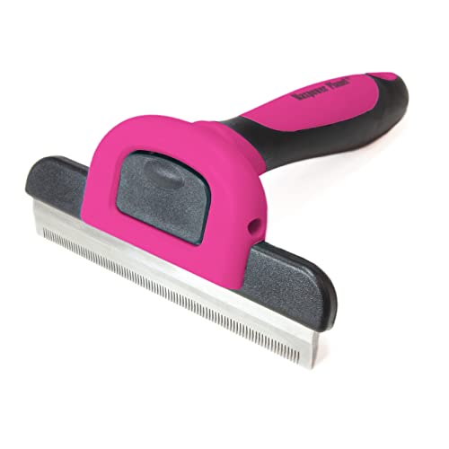 Top 10 Best Cat Deshedding Tool Top Picks 2023 Reviews