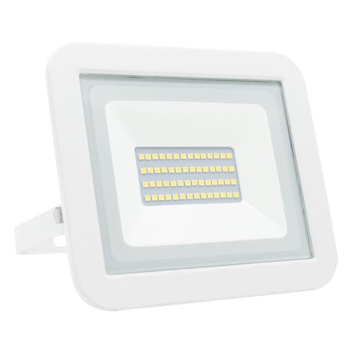 Brightium Proyector LED plano blanco 30W frío, ideal para presentaciones, cine en casa y ambientación de espacios.