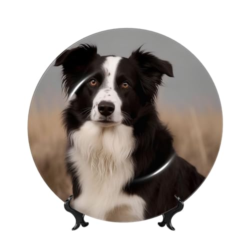 Assiette Border Collie déco salon et bureau avec son support
