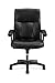 HON Leather Executive Chair - High-Back Computer Chair for Office Desk, Black (VL151)