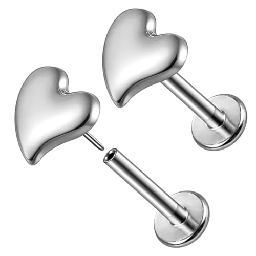 LADEMAYH ASTM F136 �`�^�� �X�C�[�g�n�[�g �X���b�h���X ���u���b�g�X�^�b�h 2�� 20G 18G 16G �t���b�g�o�b�N�C�������O �q���Ȏ��p �v�b�V���C����s�A�X�W���G���[ �w���b�N�X�g���K�X�R���N�p, 2pcs Tops+16g 