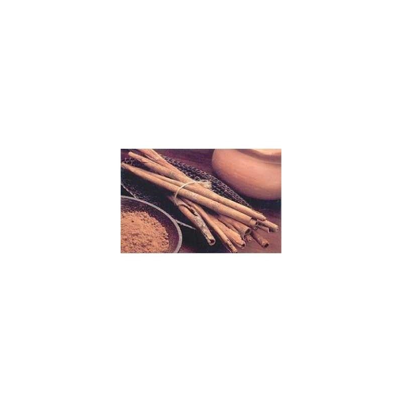 Cannella corteccia POLVERE 1 Kg Cinnamomum zeylanicum