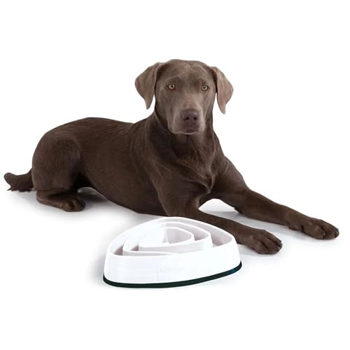 Edupet 06027AA Futternapf, Anti-schling Napf, Fressnapf, Feeder slow Eating, Slow Feeder, für kleine bis mittelgroße Hunde, 300ml, Durchmesser: 21 cm, beige