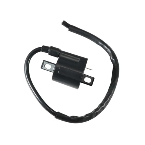 Bobine d'allumage LTF250 LT-4WD pack tension compatible 33410-02C01 quad