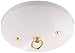Westinghouse 70037 Ceiling Canopy Kit