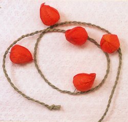 d͂₵ ~ ~pi y ق TPt z(~pi)