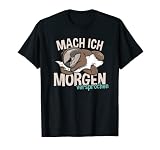 Faulenzer Faultier - Mach Ich Morgen versprochen - Faultier T-Shirt