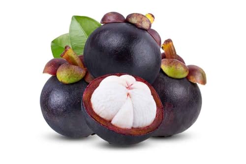 New Fresh 100pcs Mangosteen Fruit Seeds Generic