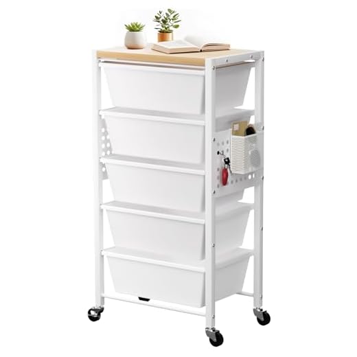 Rolling Cart with 5 Versatile Storage Drawers