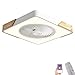 Sypialnia lampa sufitowa z wentylatorem PROWADZONY Wentylator sufitowy z lampą i pilotem, ściemnianiem światła wentylatora do kuchni i stołów jadalnych, może Aplikacja Kontrola, Ø50 cm, 3000K / 4500K