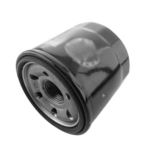 Filtre à carburant moto de haute précision pour Leoncino 500 TRK502 - 2