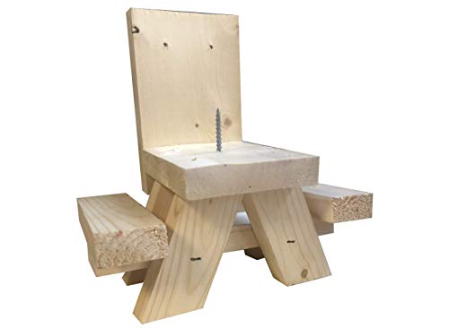 Best Corn For Squirrel Feeder