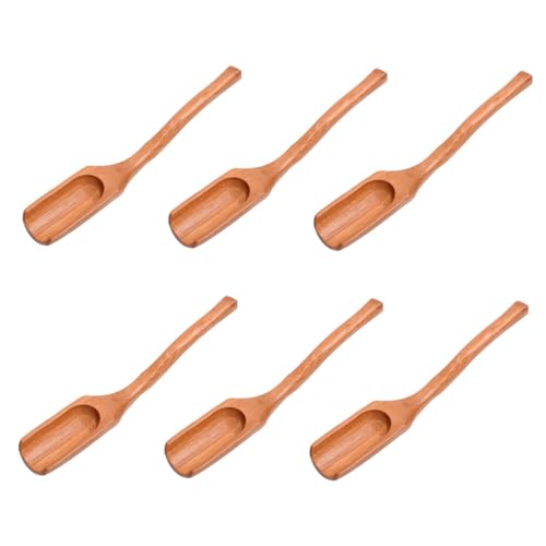 OHPHCALL 6Pcs Tea Spoons Long Handle Curved Scoops Tea Accessories and Scoop for Tea Lovers