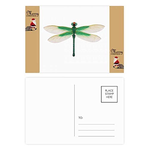 Cartes postales traditionnelles chinoises libellule en lot de 20 pièces pour correspondance