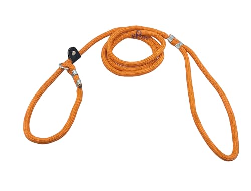 Image of RvPaws Dog Training Leash Slip Leash, Adjustable Length, Strong & Durable Training Show Leash,Soft Nylon Rope I Leather Adjustable, Length 5 Feet X 1 CM - Pack of 1 (Multicolor)