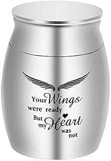 Dletay Small Keepsake Urns for Human Ashes Mini Cremation Urns for Ashes Stainless